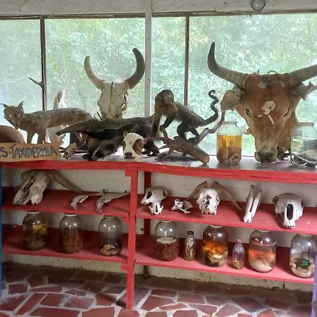 Hotel Rural La Esperanza スエスカ エクステリア 写真