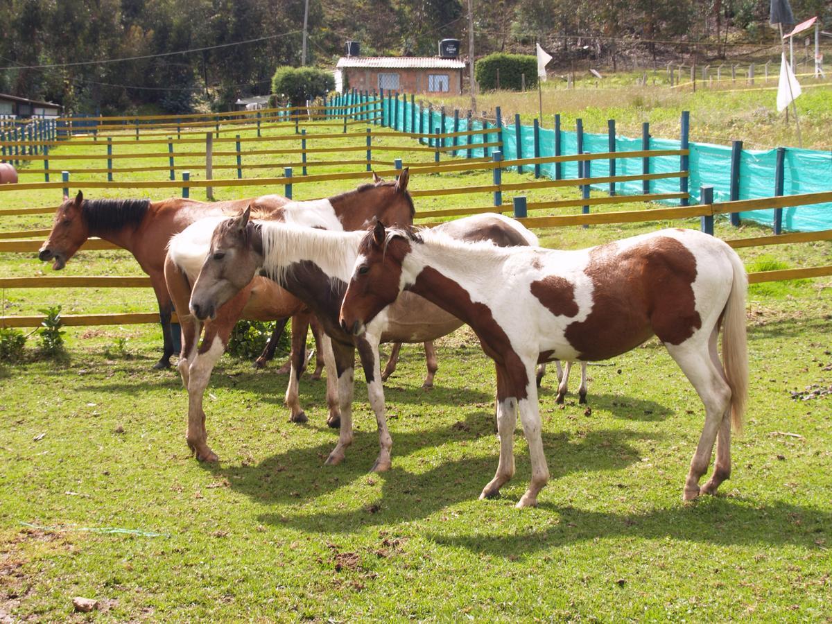 Hotel Rural La Esperanza スエスカ エクステリア 写真